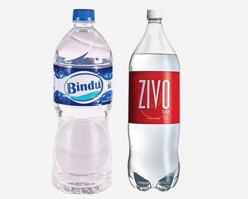 Bindu | Zivo