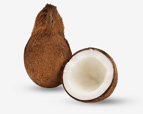 Coconut Raw